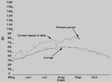 Forecast Period Time Series